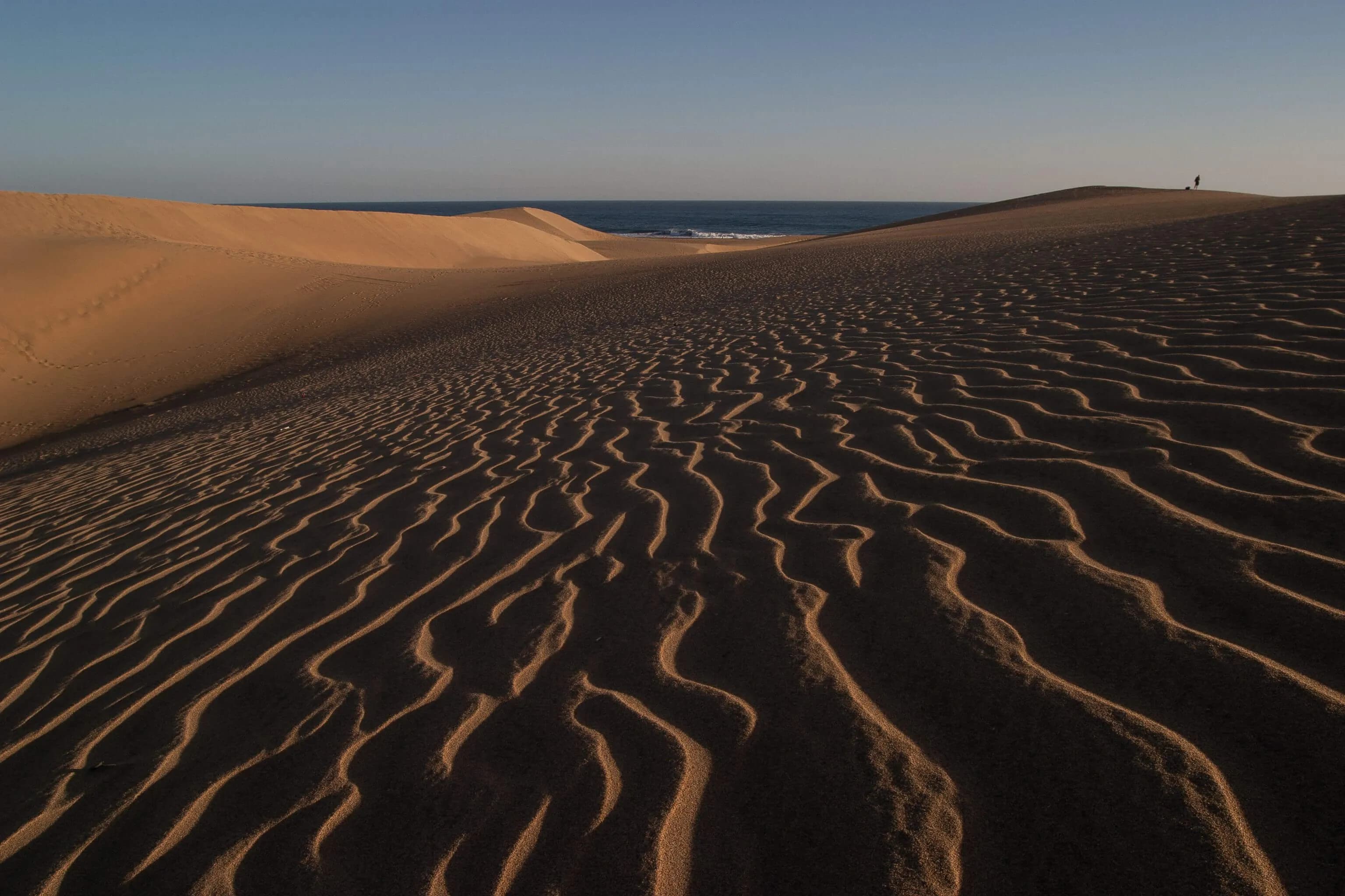 Desert