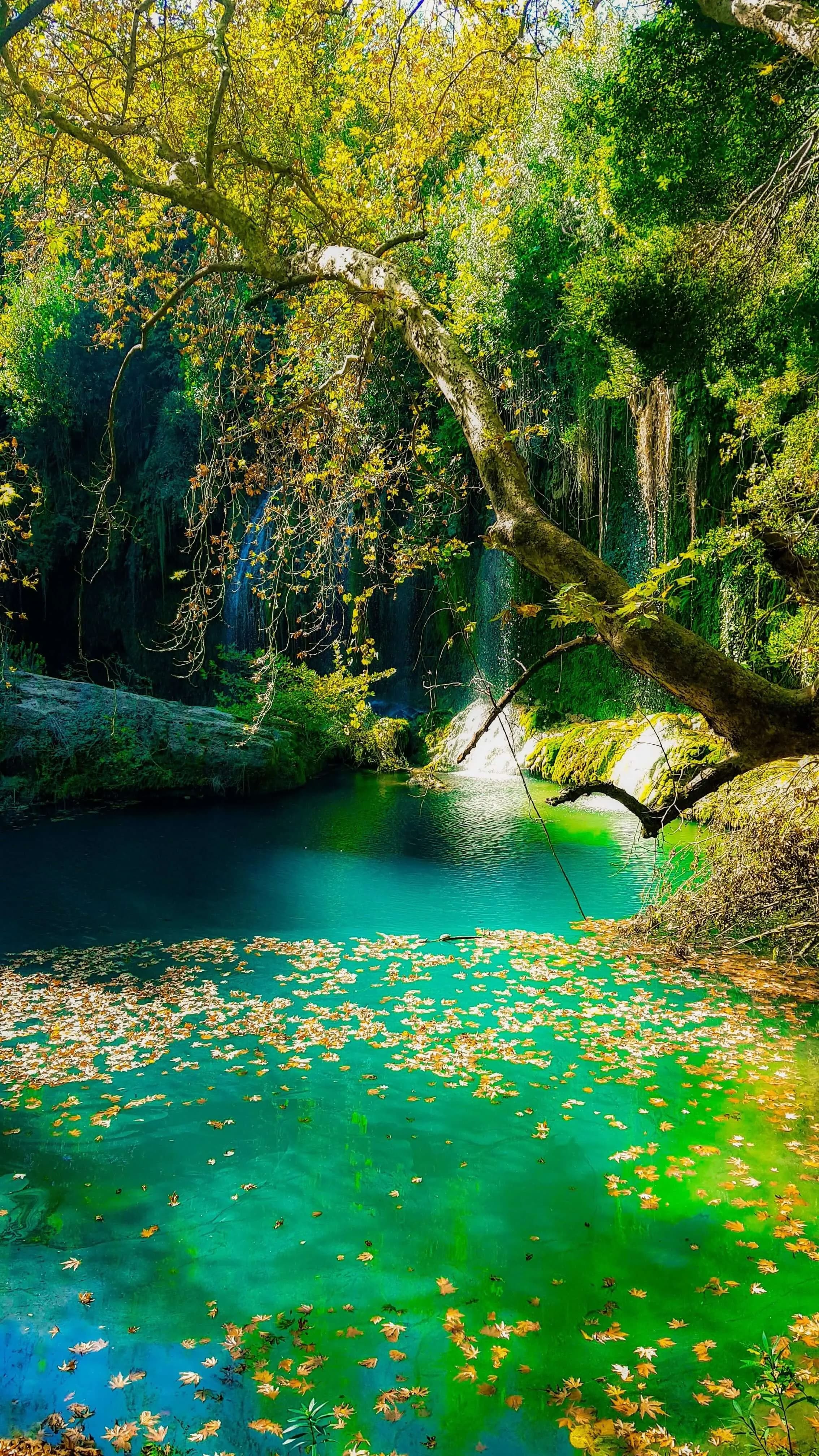 Nature